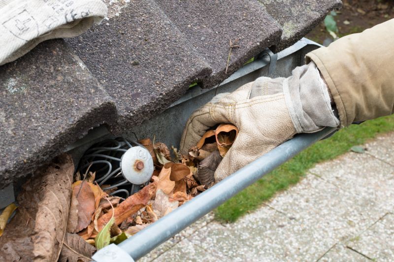 Clogged Gutter Clearing in Annapolis, MD