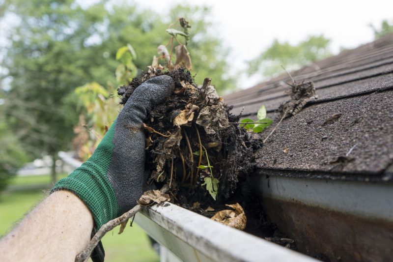 Clogged Gutter Clearing in Long Island, NY