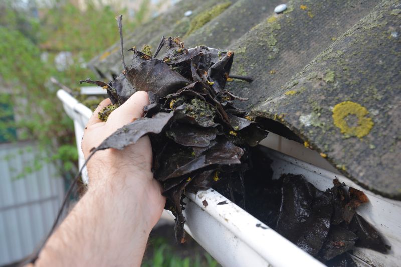 Gutter Leaf Clearing in Morris County, NJ