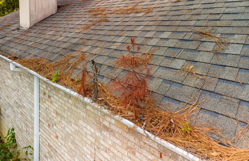 Gutter Pine Needle Removal in Arvada, CO