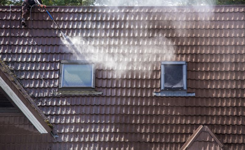 Asphalt Shingles Cleaning in Vancouver, WA