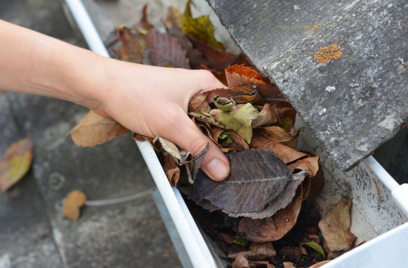 Business Gutter Cleaning in Mcdonough, GA