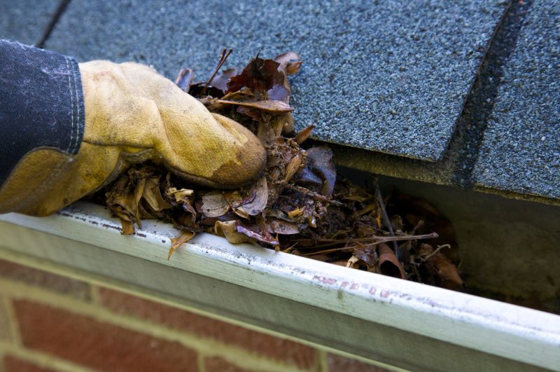 Clogged Gutter Clearing in Westchester County, NY
