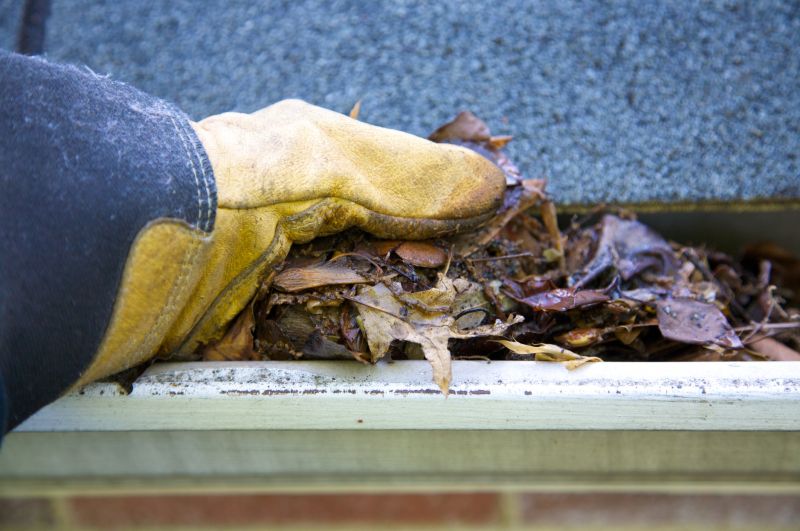 Clogged Gutter Clearing in Baltimore, MD