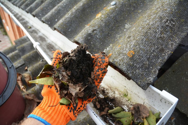 Clogged Gutter Clearing in Annapolis, MD