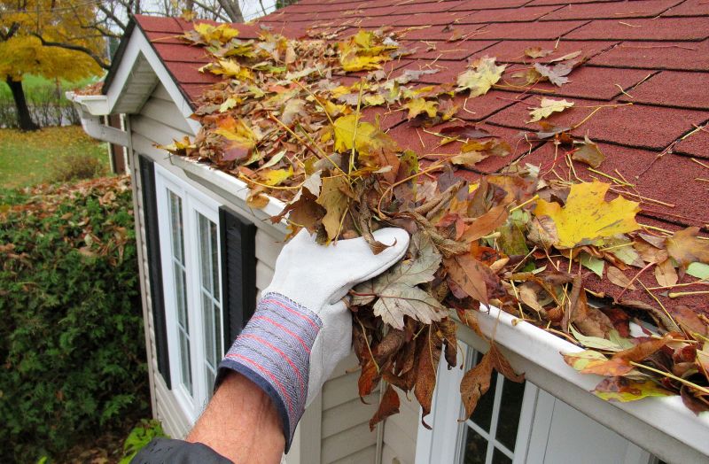 Downspout Cleaning in Frederick, MD