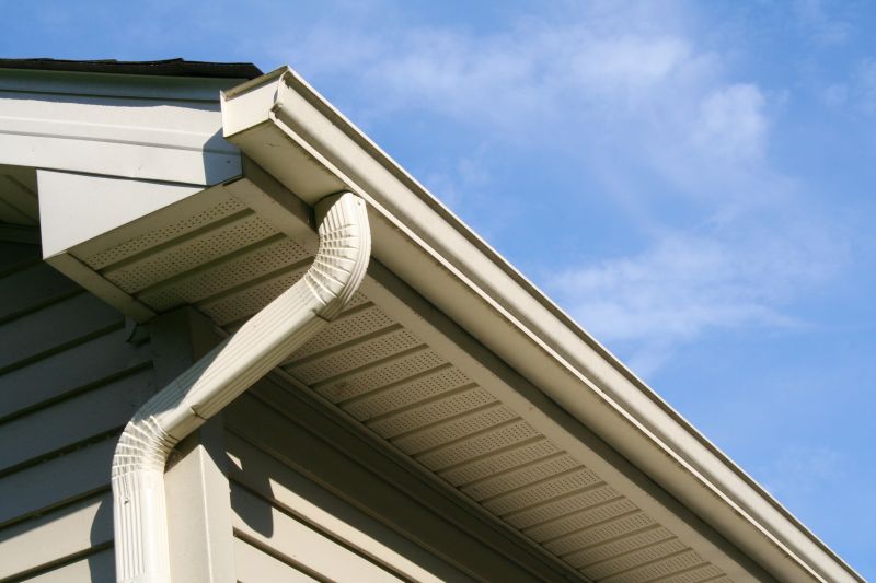 Downspout Snaking in Frederick, MD