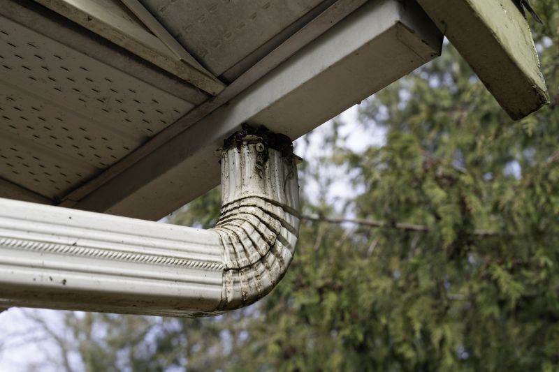 Eavestrough Clearing in Boulder, CO