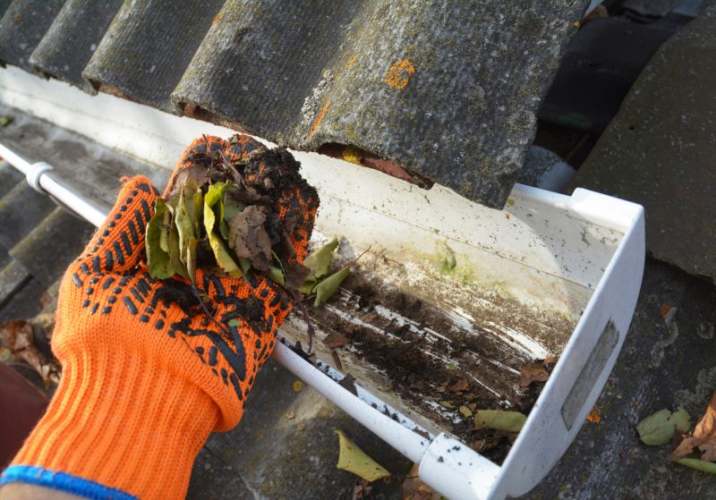 Gutter Cleaning in Boulder, CO