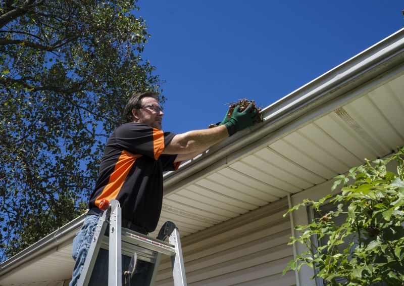 Gutter Leaf Clearing in Morris County, NJ