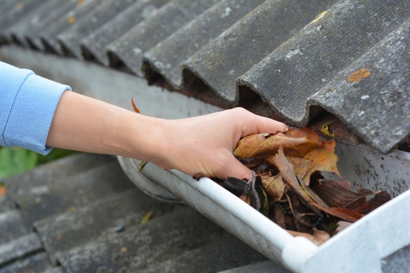 Gutter Leaf Clearing in Fredericksburg, VA