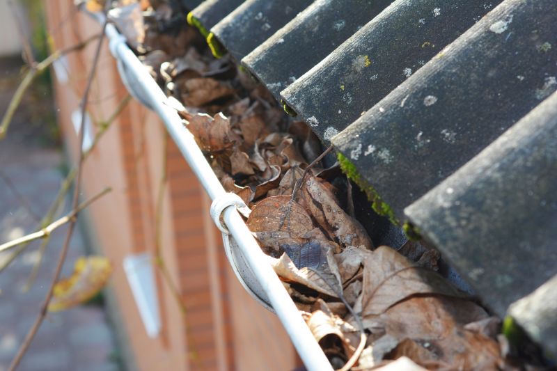 Gutter Leaf Clearing in Monmouth County, NJ