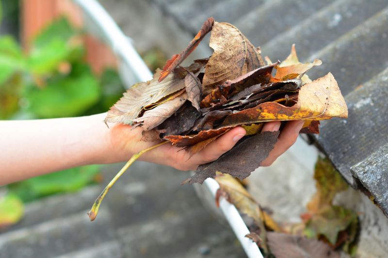 Gutter Leaf Clearing in Monmouth County, NJ