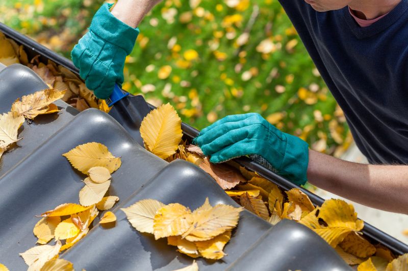 Gutter Leaf Clearing in Pittsburgh, PA