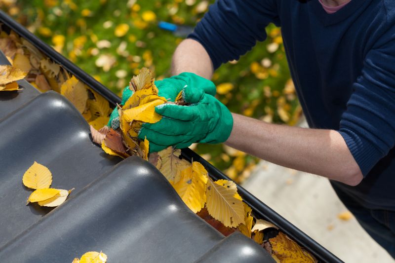 Gutter Leaf Clearing in Baltimore, MD