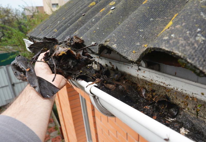 Gutter Leaves Removal in Long Island, NY
