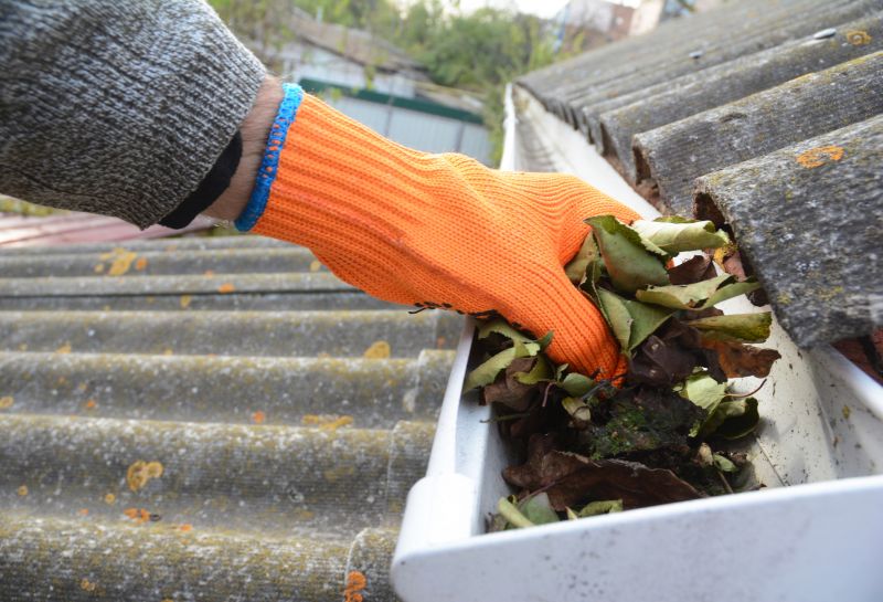 Gutter Leaves Removal in Morris County, NJ