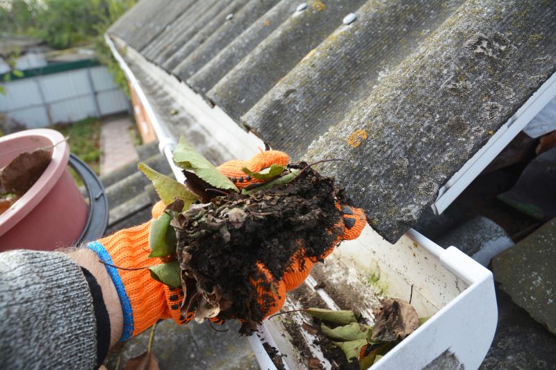 Gutter Pine Needle Removal in Long Island, NY