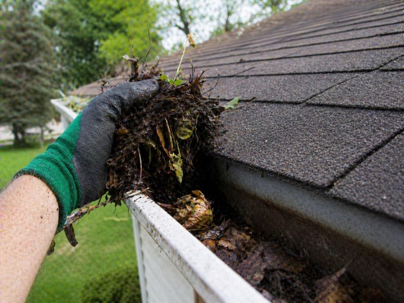 Gutter Pine Needle Removal in Long Island, NY