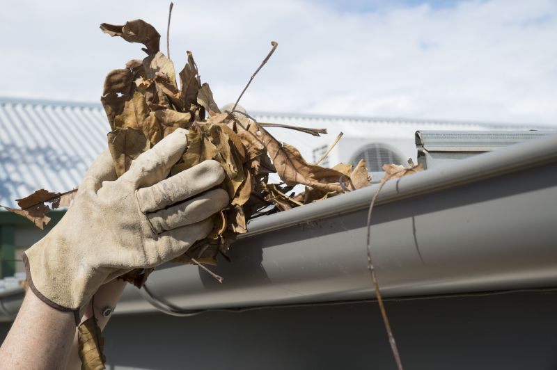 Gutter Pine Needle Removal in Frederick, MD