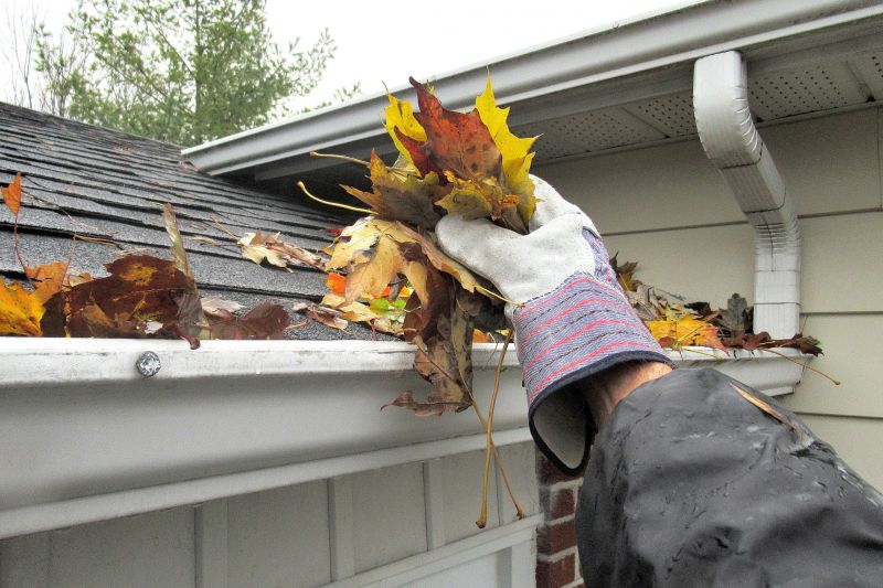 Rain Gutter Clearing in Monmouth County, NJ