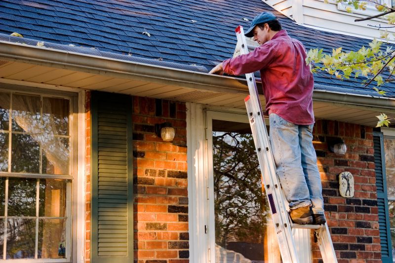 Roof Gutter Cleaning in Arvada, CO