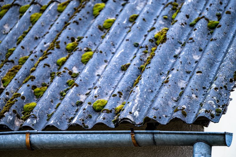 Roof Mold Cleaning in Vancouver, WA