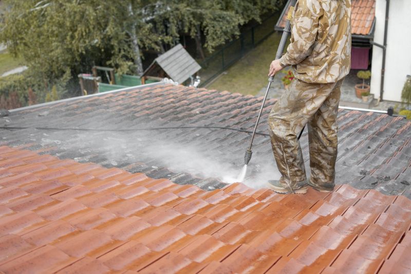 Roof Stain Removal in Vancouver, WA