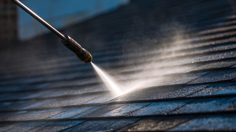 Rubber Roof Cleaning in Vancouver, WA